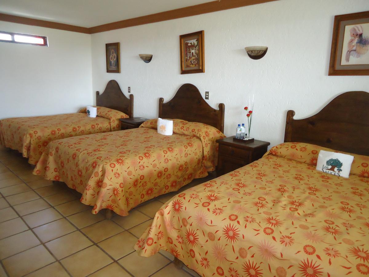Hotel Los Sauces Villa Del Carbon Pokój zdjęcie